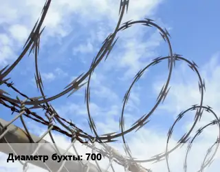 Проволока колючая спиралевидная ОКС 700 Барс СББ